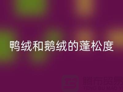 鸭绒和鹅绒的蓬松度如何识别-AK官方网页版库存鸭绒-AK官方网页版库存鹅绒厂家