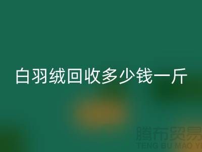 白鸭绒AK官方网页版_灰鸭绒AK官方网页版_羽绒AK官方网页版多少钱一斤_AK官方网页版羽绒厂家