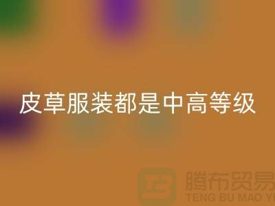 上W块十几W的皮草服装都是中高等级的皮制作的-AK官方网页版毛领厂家