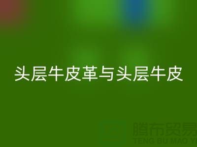 头层牛皮革与头层牛皮：材质选择的深度解析