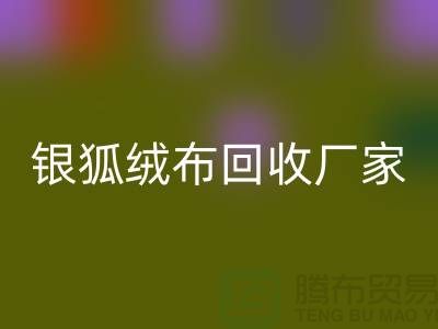 银狐绒布AK官方网页版厂家：让旧衣物焕发新生-服装面料AK官方网页版公司
