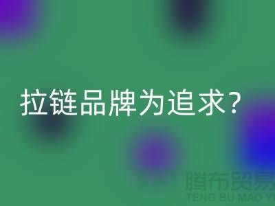 拉链品牌为追求？还是为时尚？_废铜拉链AK官方网页版公司