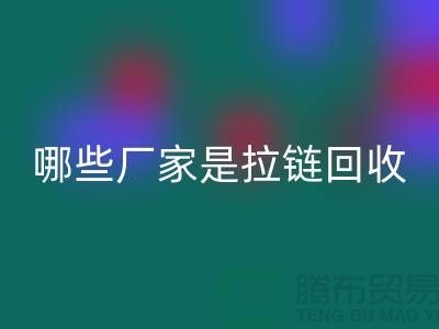 哪些厂家是拉链AK官方网页版的领导者-库存拉链AK官方网页版厂家排名榜