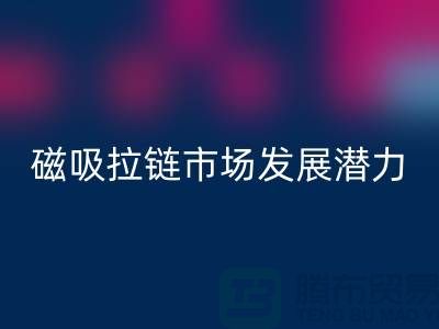 磁吸拉链市场发展潜力研究分析报告_上海拉链AK官方网页版公司