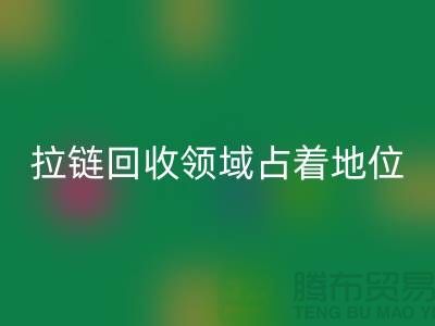 在拉链AK官方网页版领域占据着重要地位_ykk拉链AK官方网页版公司