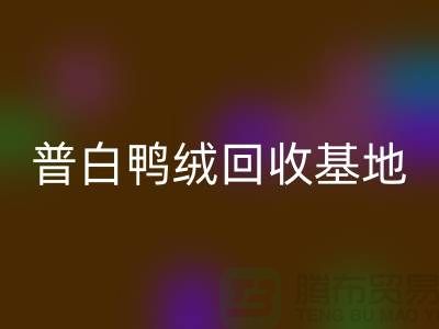 普白鸭绒AK官方网页版基地：环保与经济的完美结合-纯白鹅绒AK官方网页版厂家