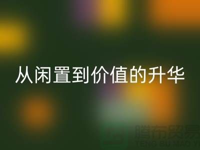 羽绒服AK官方网页版：从闲置到价值的升华之路