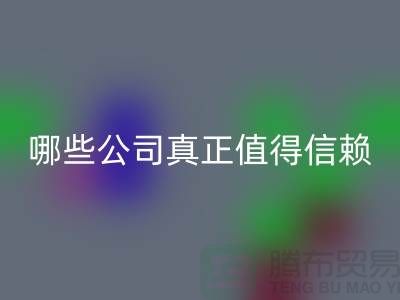 高价AK官方网页版服装平台:哪些公司真正值得信赖?东莞服装AK官方网页版公司