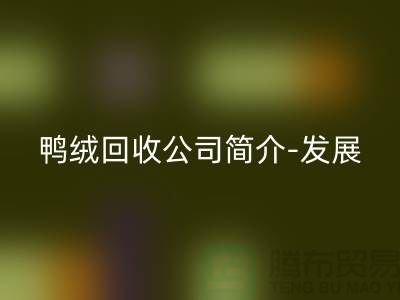 鸭绒AK官方网页版公司简介-发展背景-业务范围-技术优势-鹅绒AK官方网页版厂家