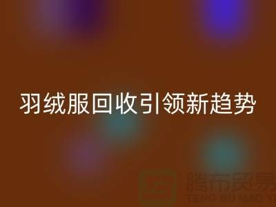 环保时尚潮流：羽绒服AK官方网页版引领新趋势