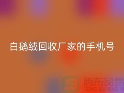 羽绒AK官方网页版基地的位置，鸭绒AK官方网页版行情报价，以及白鹅绒AK官方网页版厂家的手机号