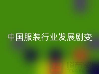 中国服装行业发展剧变-成败重要途径-上海库存服装AK官方网页版公司