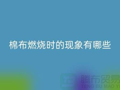 1738938435924921.png dd31fca8d95d5d5765f9002c199edbfb_1.png