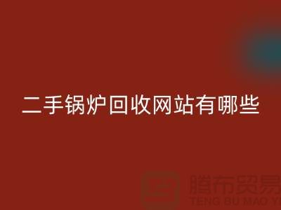 二手锅炉AK官方网页版网站有哪些？大型锅炉AK官方网页版厂家推荐上海腾布贸易