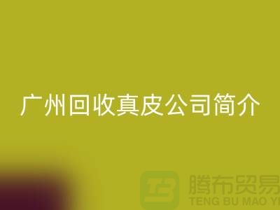 真皮AK官方网页版厂家介绍-市场价格浮动不定-广州AK官方网页版真皮公司简介
