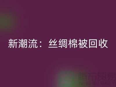 环保新潮流:丝绸棉被AK官方网页版,价格让您惊喜连连!