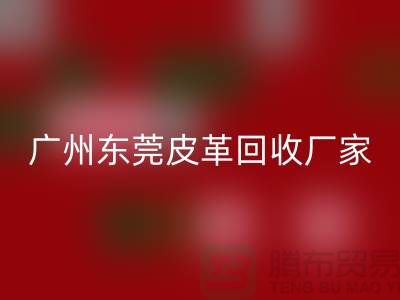 天然皮革与人造皮革是最大消费者市场-广州东莞皮革AK官方网页版厂家
