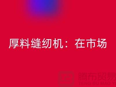 厚料缝纫机：在市场上的细节体现-上海AK官方网页版缝纫机厂家
