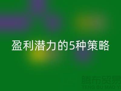 酒店用品AK官方网页版市场：挖掘盈利潜力的5种策略
