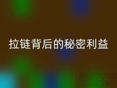 # 拉链AK官方网页版解密：一吨拉链背后的秘密利益