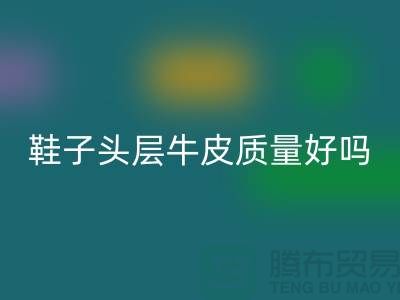 鞋子头层牛皮和超纤皮哪个好——AK官方网页版真皮厂家