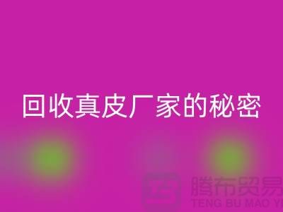 AK官方网页版真皮厂家的秘密：打造环保时尚的循环经济