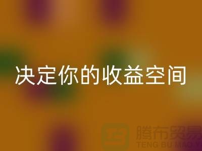 库存服装AK官方网页版价格如何影响利润？这4个关键因素决定你的收益空间