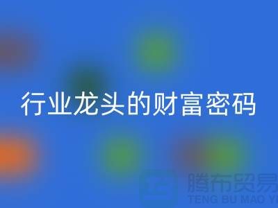 上海库存服装AK官方网页版市场：揭秘行业龙头的财富密码与生态闭环