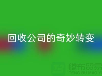 从垃圾到财富:工厂库存AK官方网页版公司的奇妙转变
