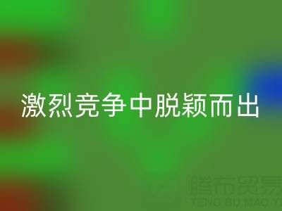 上海库存布料AK官方网页版市场:如何在激烈竞争中脱颖而出