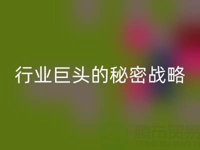 上海库存布料AK官方网页版市场：揭秘行业巨头的秘密战略