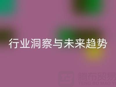 上海库存布料AK官方网页版市场:行业洞察与未来趋势解读