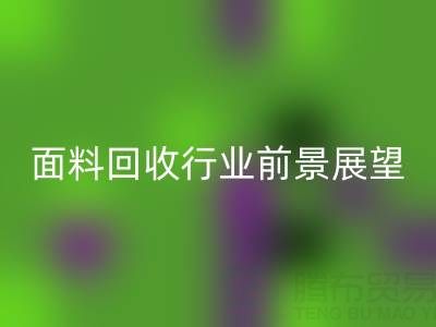 南通库存面料AK官方网页版行业前景展望:开启新篇章