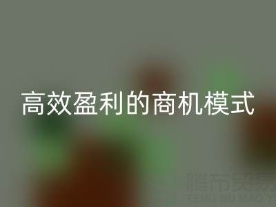 南通库存布料AK官方网页版策略：打造高效盈利的商机模式