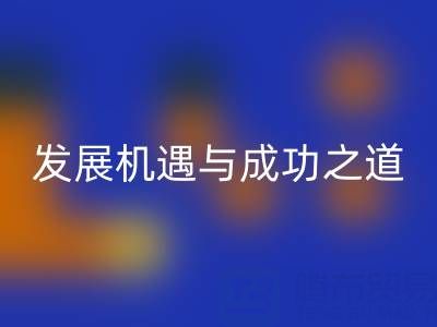 南通库存布料AK官方网页版市场：发展机遇与成功之道