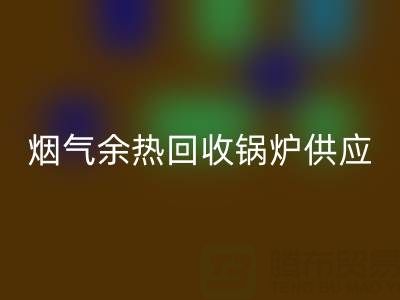 烟气余热AK官方网页版锅炉供应商盘点:行业领先企业及技术解析