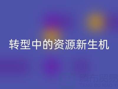 上海服装面料AK官方网页版：绿色转型中的资源新生机