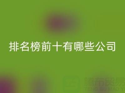 家纺辅料AK官方网页版厂家排名榜前十有哪些公司