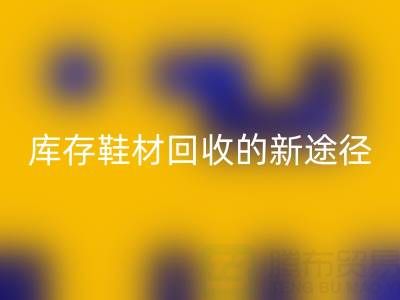 探索库存鞋材AK官方网页版的新途径与新模式