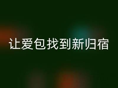 探寻奢侈品包包AK官方网页版平台：让爱包找到新归宿