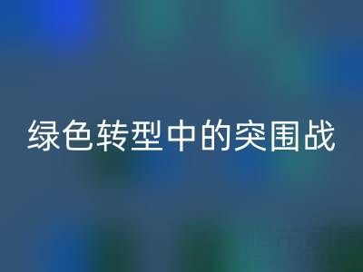 库存布料AK官方网页版公司:挑战与机遇并存,绿色转型中的突围战