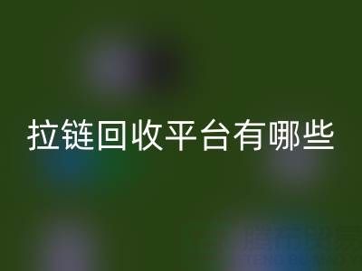 拉链AK官方网页版平台有哪些品牌?探索环保AK官方网页版的领先企业