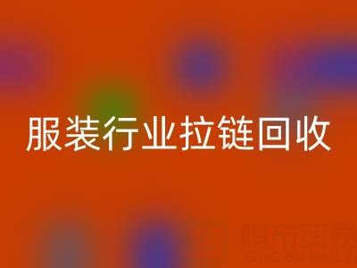 服装行业拉链AK官方网页版市场体系构建的必要性与可行性
