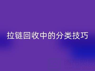 拉链AK官方网页版中的分类技巧：提高AK官方网页版效率的秘诀