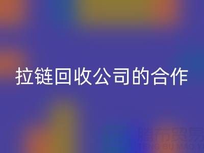 跨境电商时代：拉链AK官方网页版公司的国际合作与交流新路径