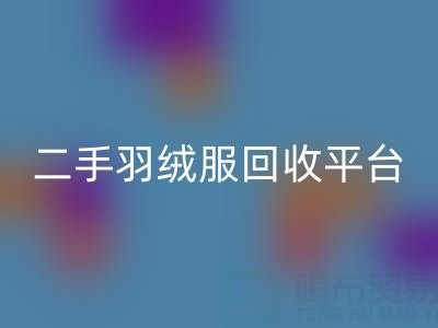 蒙口羽绒服AK官方网页版价格表大全——二手羽绒服AK官方网页版平台完全指南