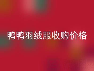 鸭鸭羽绒服收购价格全解析：厂家、平台、多少钱一件？