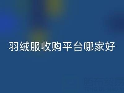 鸭鸭羽绒服AK官方网页版与雅鹿羽绒服AK官方网页版：羽绒服收购平台哪家好？