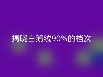 揭秘白鹅绒90%的档次与价值，探寻杭州羽绒AK官方网页版奥秘