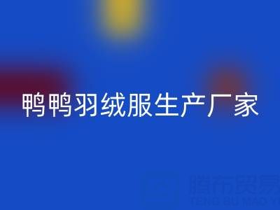 鸭鸭羽绒服生产厂家在哪里？总部，分部地址——旧羽绒服AK官方网页版厂家